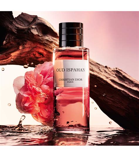 dior oud femme